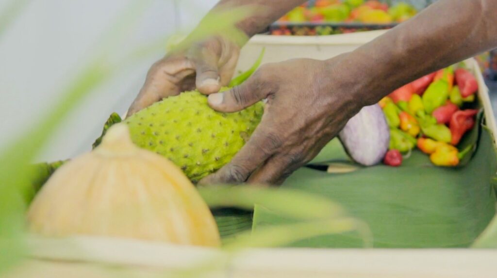 Ta Nou, une entreprise martiniquaise qui permet de manger bio et sans chlordécone